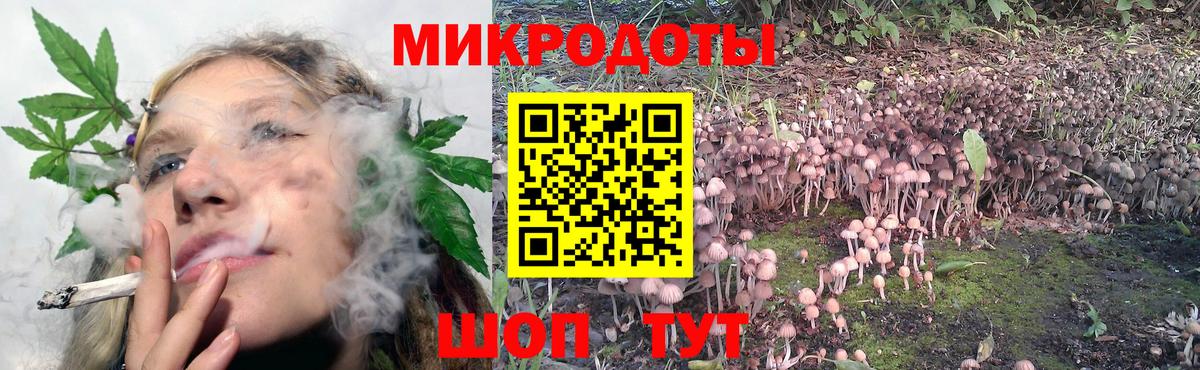 Галлюциногенные грибы GOLDEN TEACHER Егорьевск