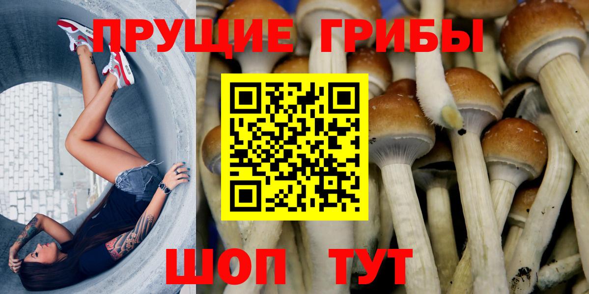 Псилоцибиновые грибы мицелий  Вход с VPN  Егорьевск 